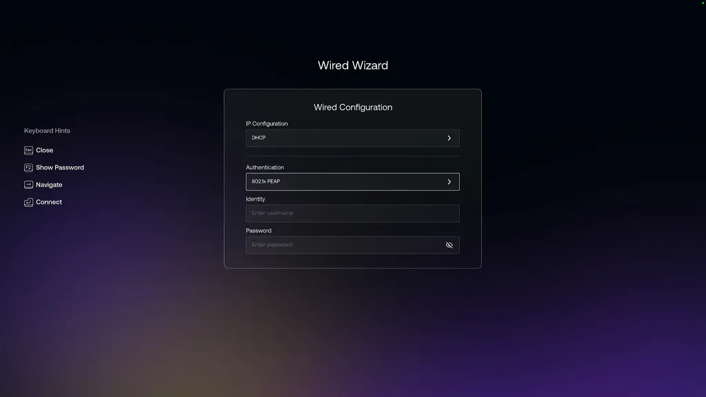wired dhcp setup screenshot