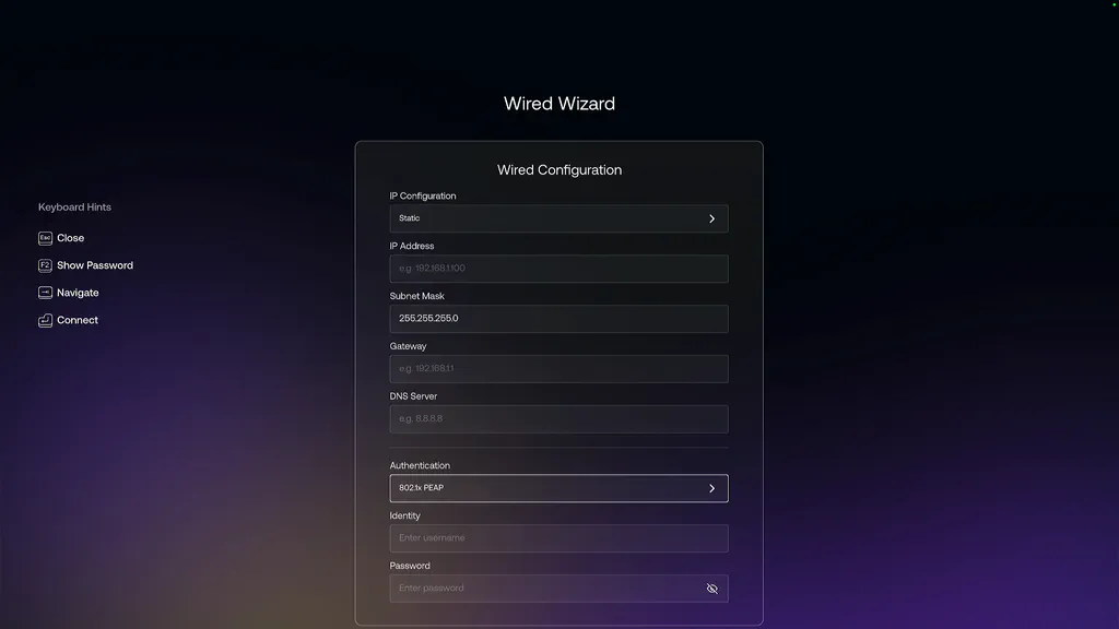 wired static setup screenshot