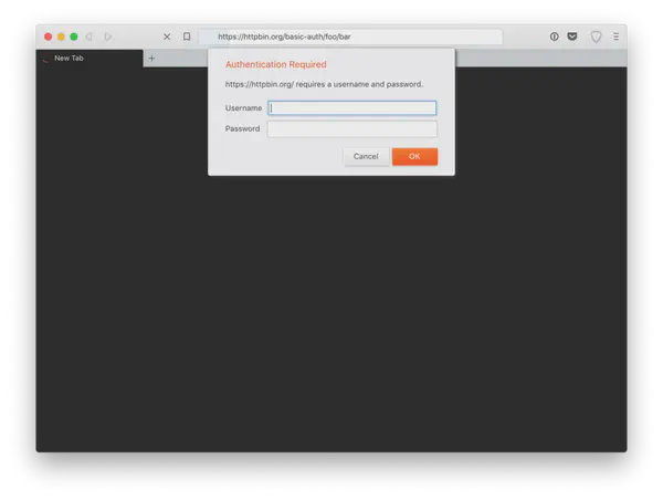 This image is a hacker who carried out a digital signage hack.