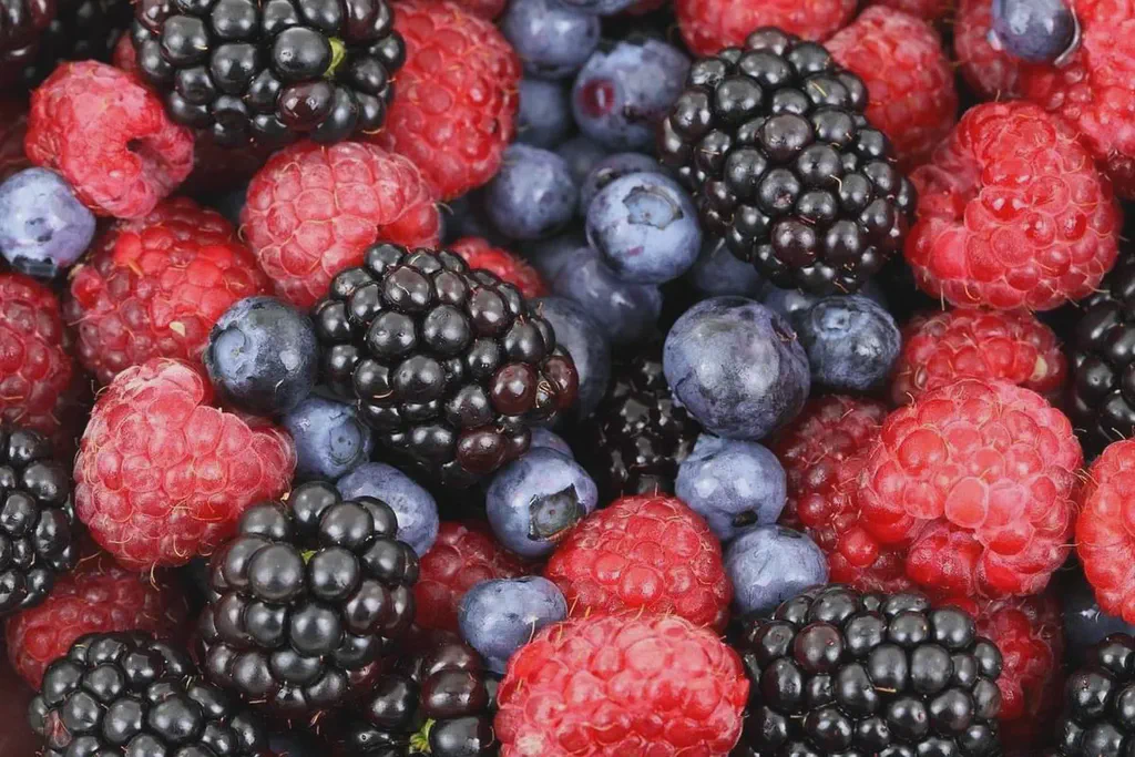 This is an image from Pixabay of fresh blueberries, blackberries, and raspberries. This image is great for use with digital menu boards.